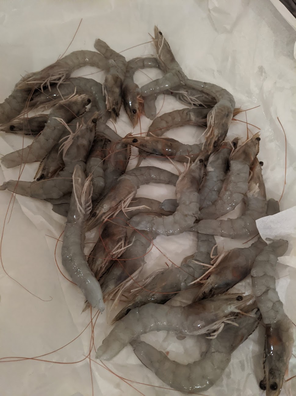 deveined-prawns