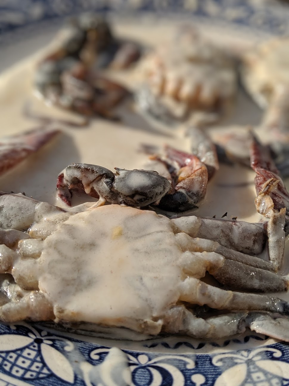 soft-shell-crab-bao